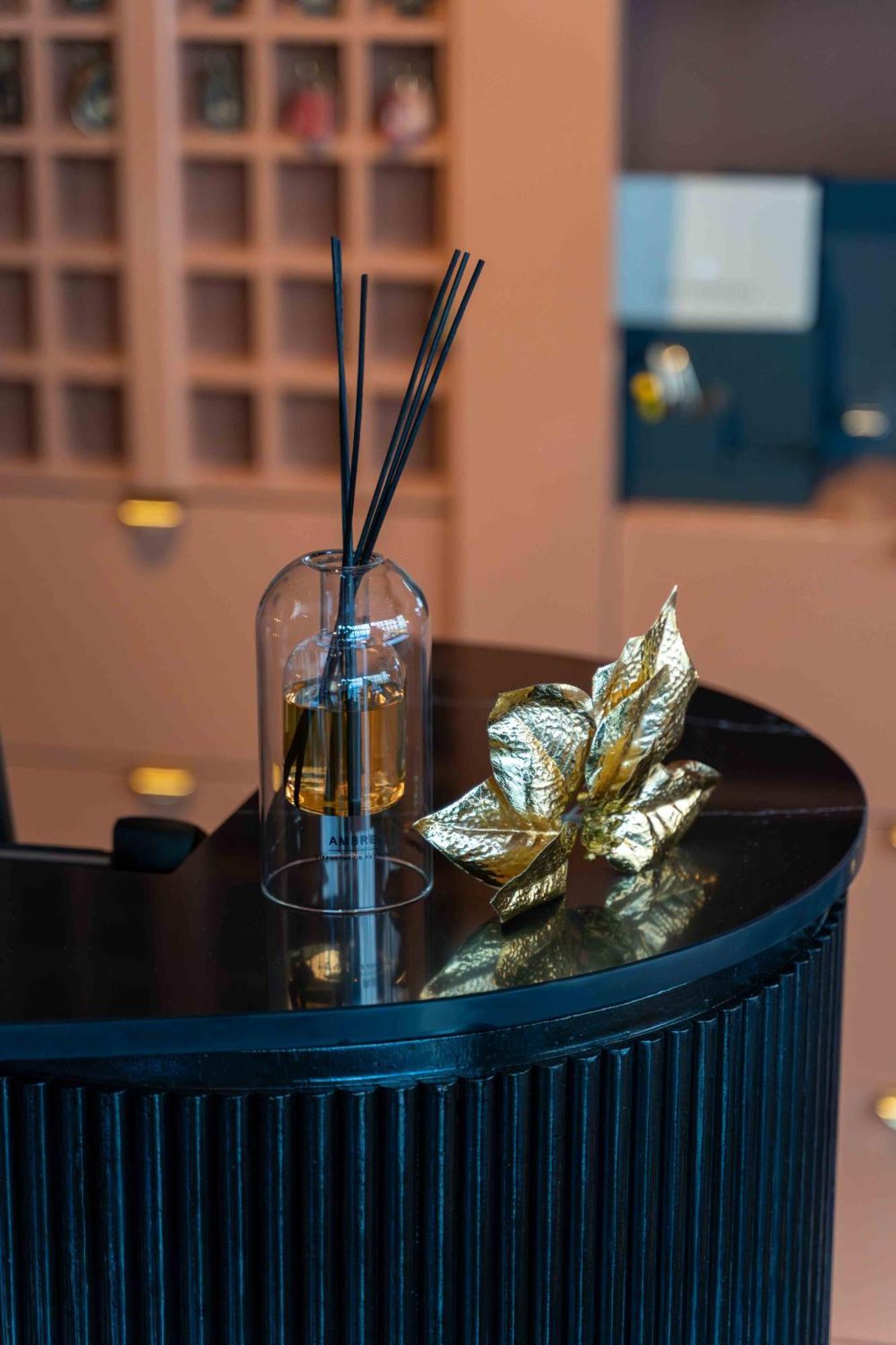 Hotel Et Restaurant Le Regina Le Puy-en-Velay 외부 사진